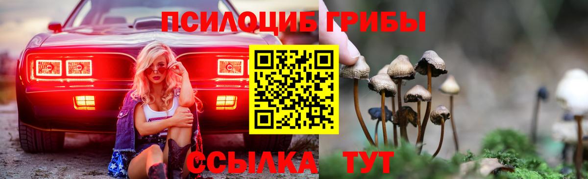 купить   Псилоцибиновые грибы Psilocybe  Вход с VPN  Псилоцибиновые грибы мицелий  Богородск 