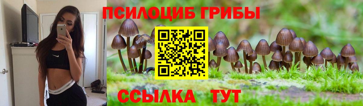 Псилоцибиновые грибы Psilocybe Богородск